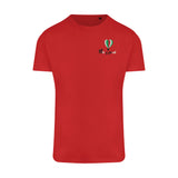 Ar y Gorwel Kids Red T-Shirt