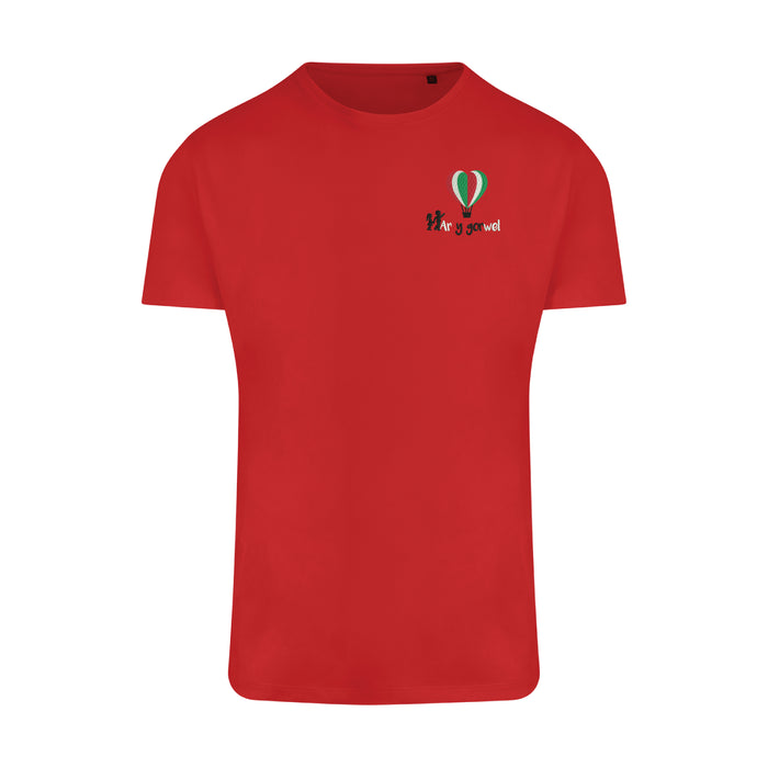 Ar y Gorwel Kids Red T-Shirt