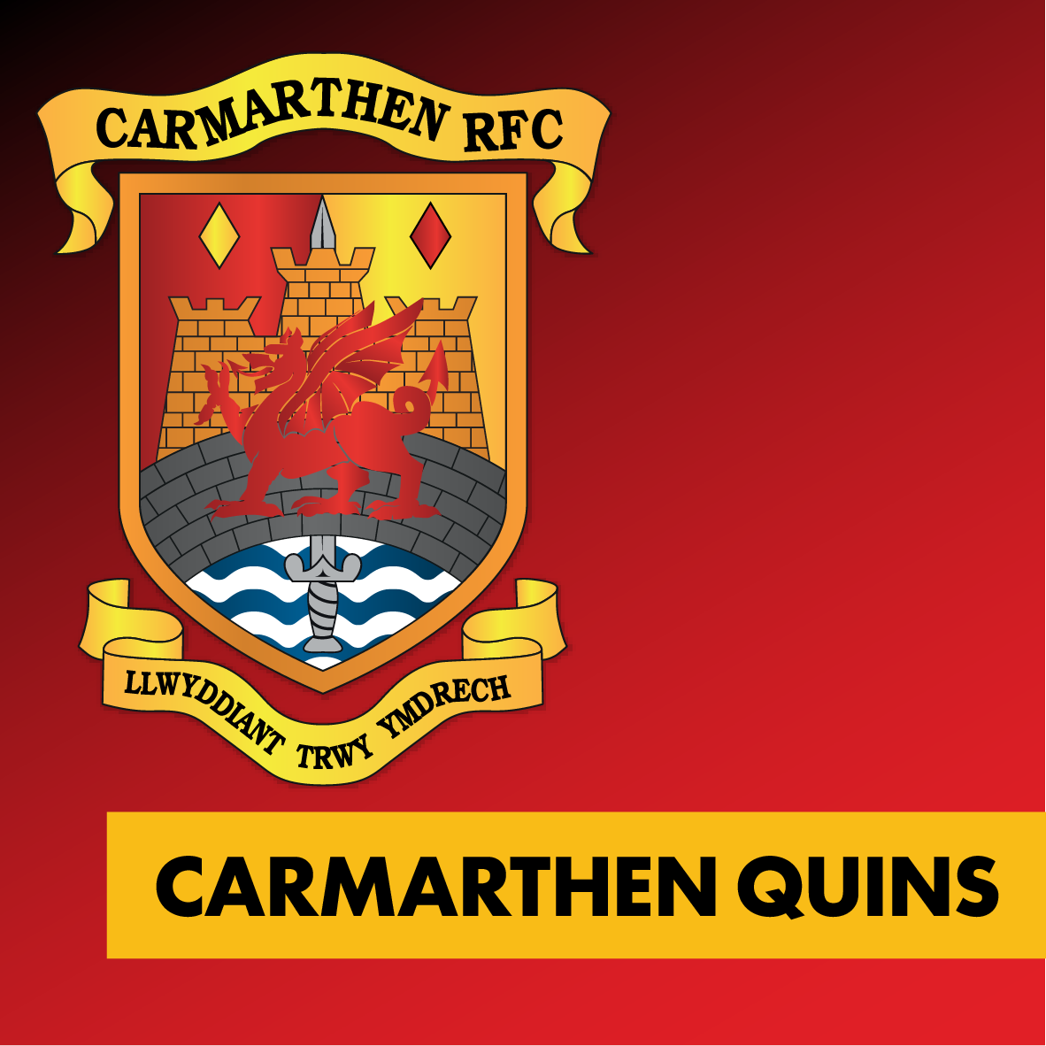 Carmarthen Quins Club Shop