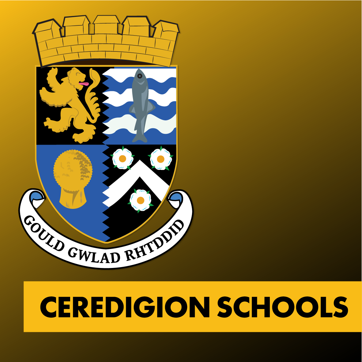 Ceredigion Schools