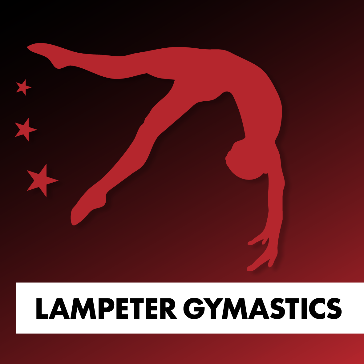 Lampeter Flics Llambed