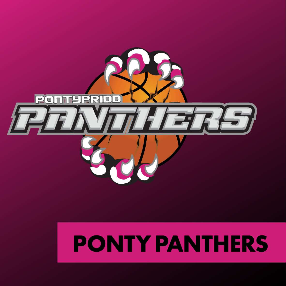 Pontypridd Panthers Online Shop
