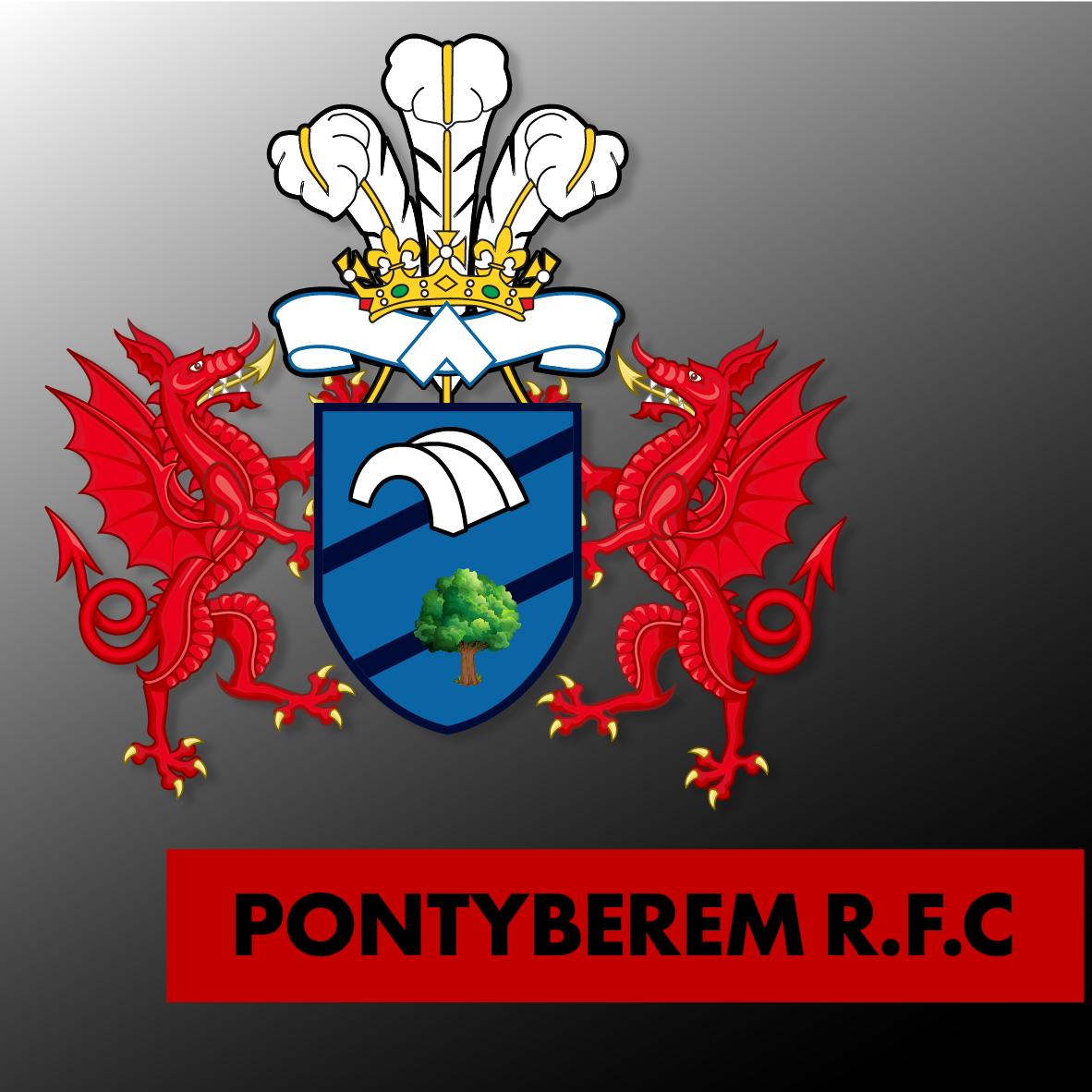 Pontyberem RFC Club Shop – Olorun Sports
