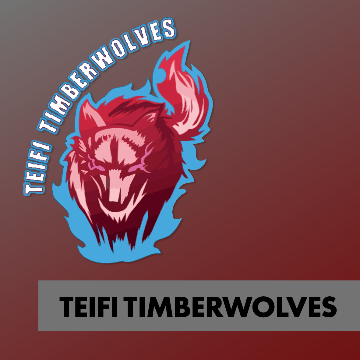 Teifi Timberwolves Online Shop