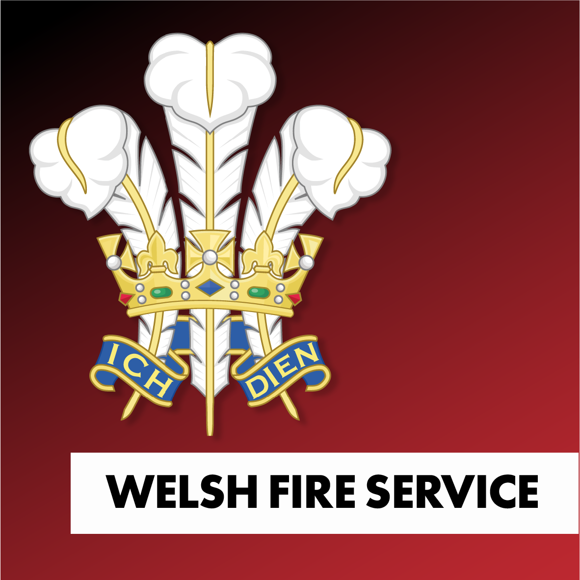 Welsh Fire Services