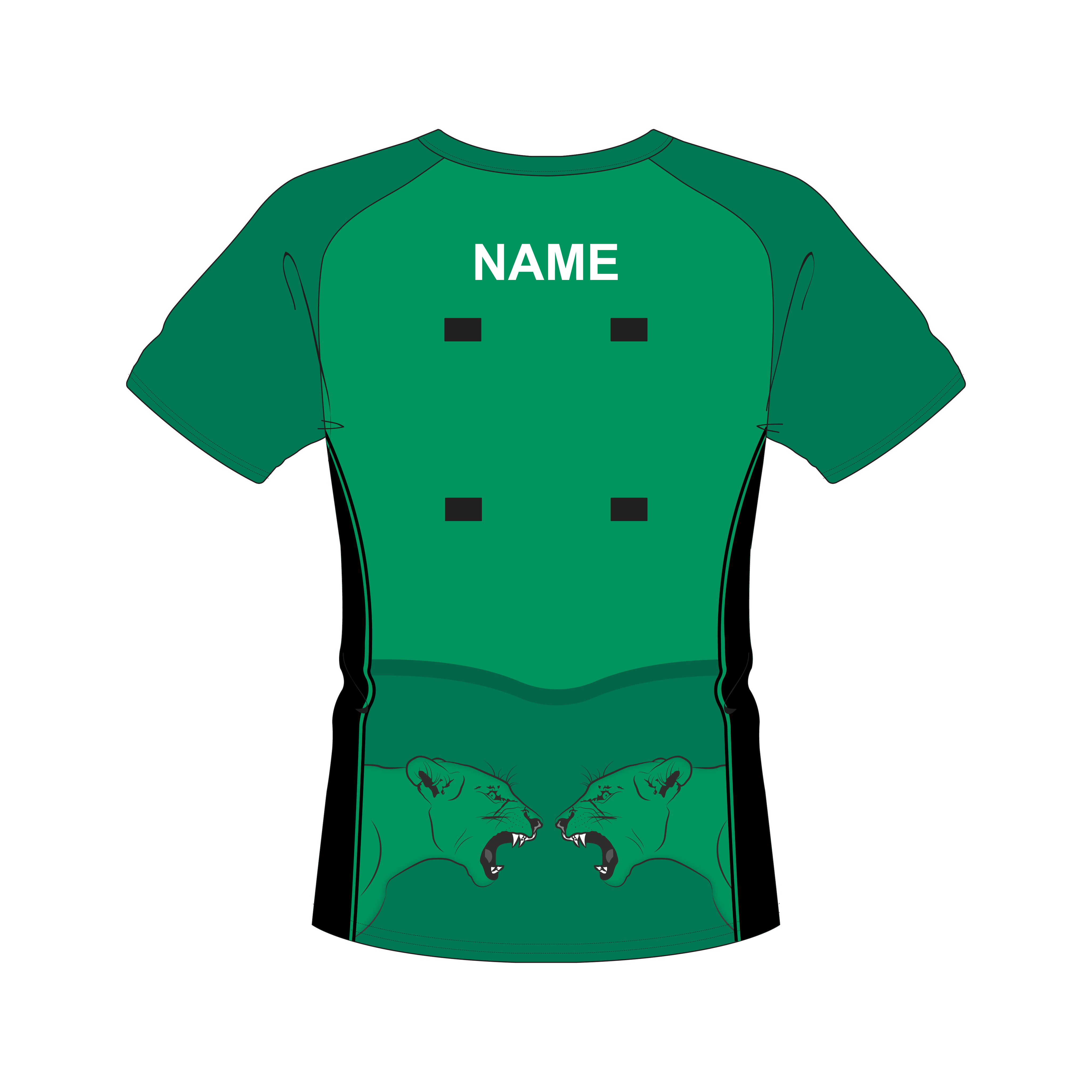 LampeterLionesses_WEBTILES-08.png