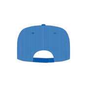 Llandovery FC Trucker Style Cap