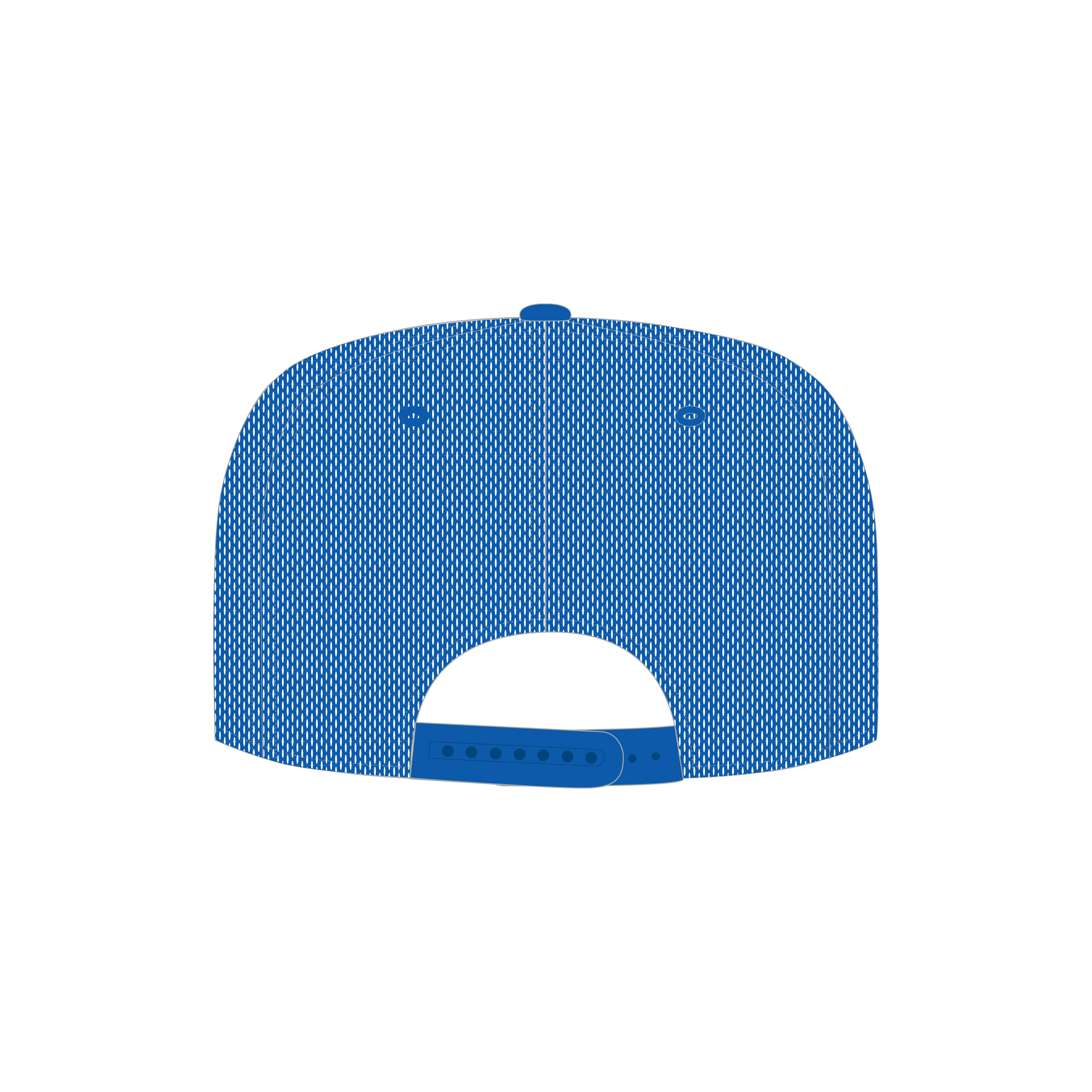 Llandovery FC Trucker Style Cap